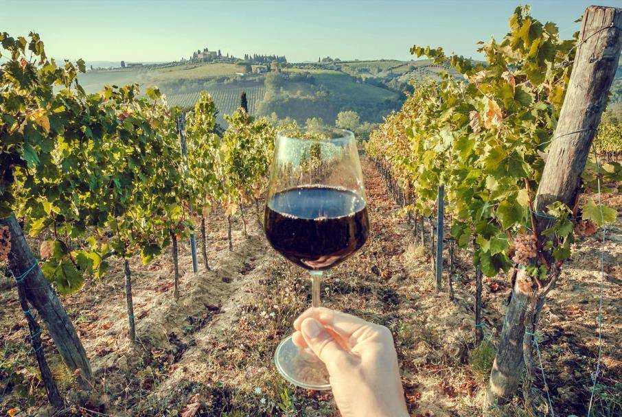 Вино апулии — мир честных и порывистых вин итальянского юга!