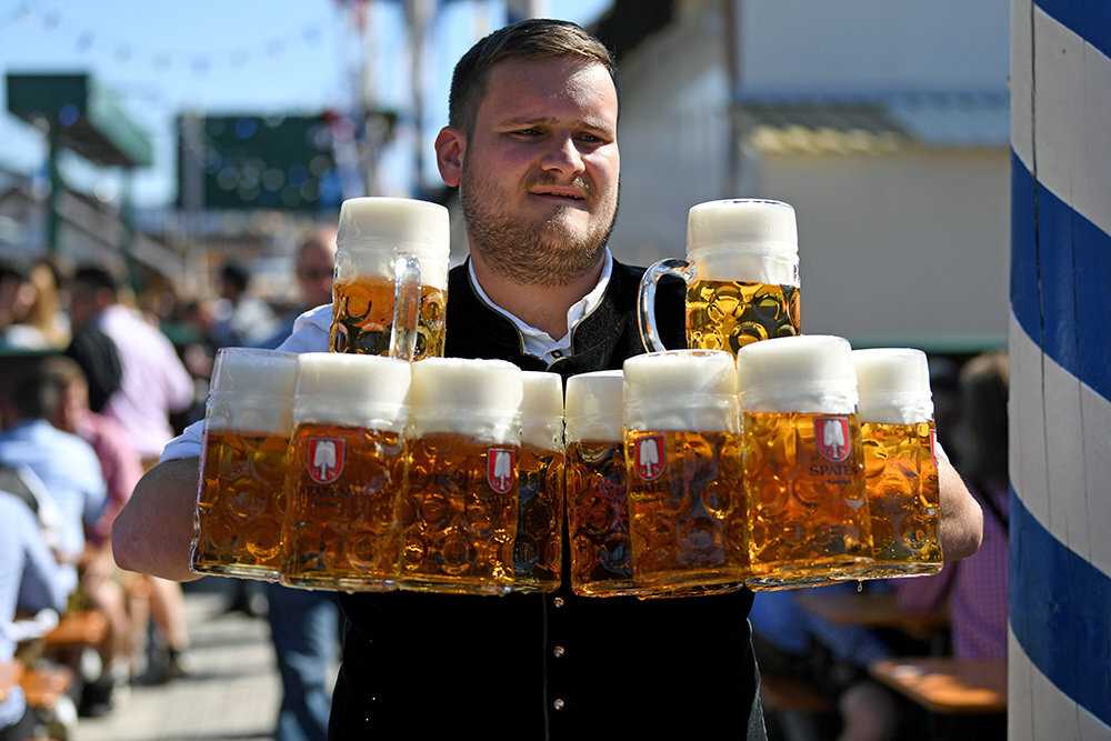 Сорта немецкого пива: немецкое светлое и темное пиво, хорошие марки хмельного напитка, как правильно пить