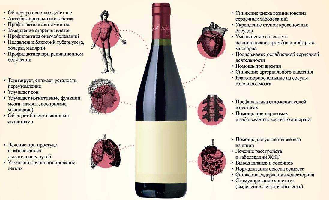 Как выбрать вино в магазине — советы экспертов, рейтинг лучших марок
