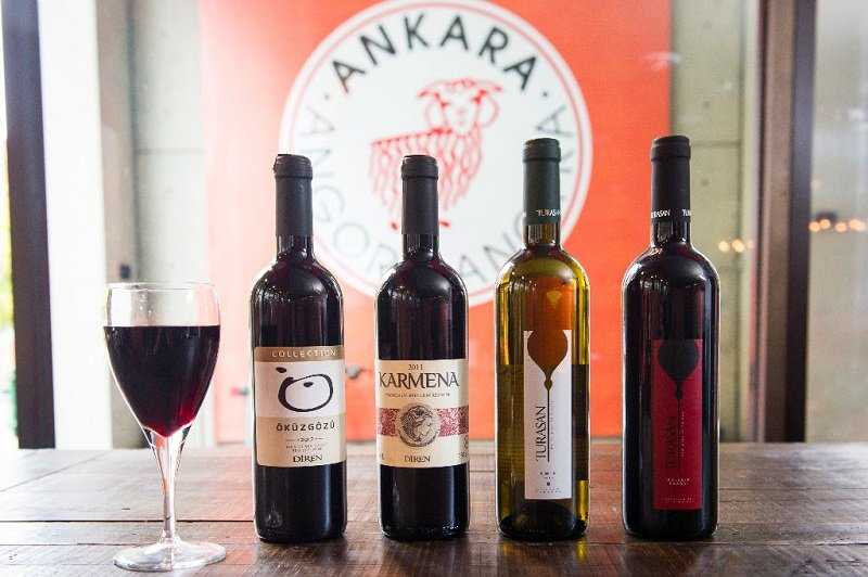 Турецкое вино — история, производители, лучшие марки