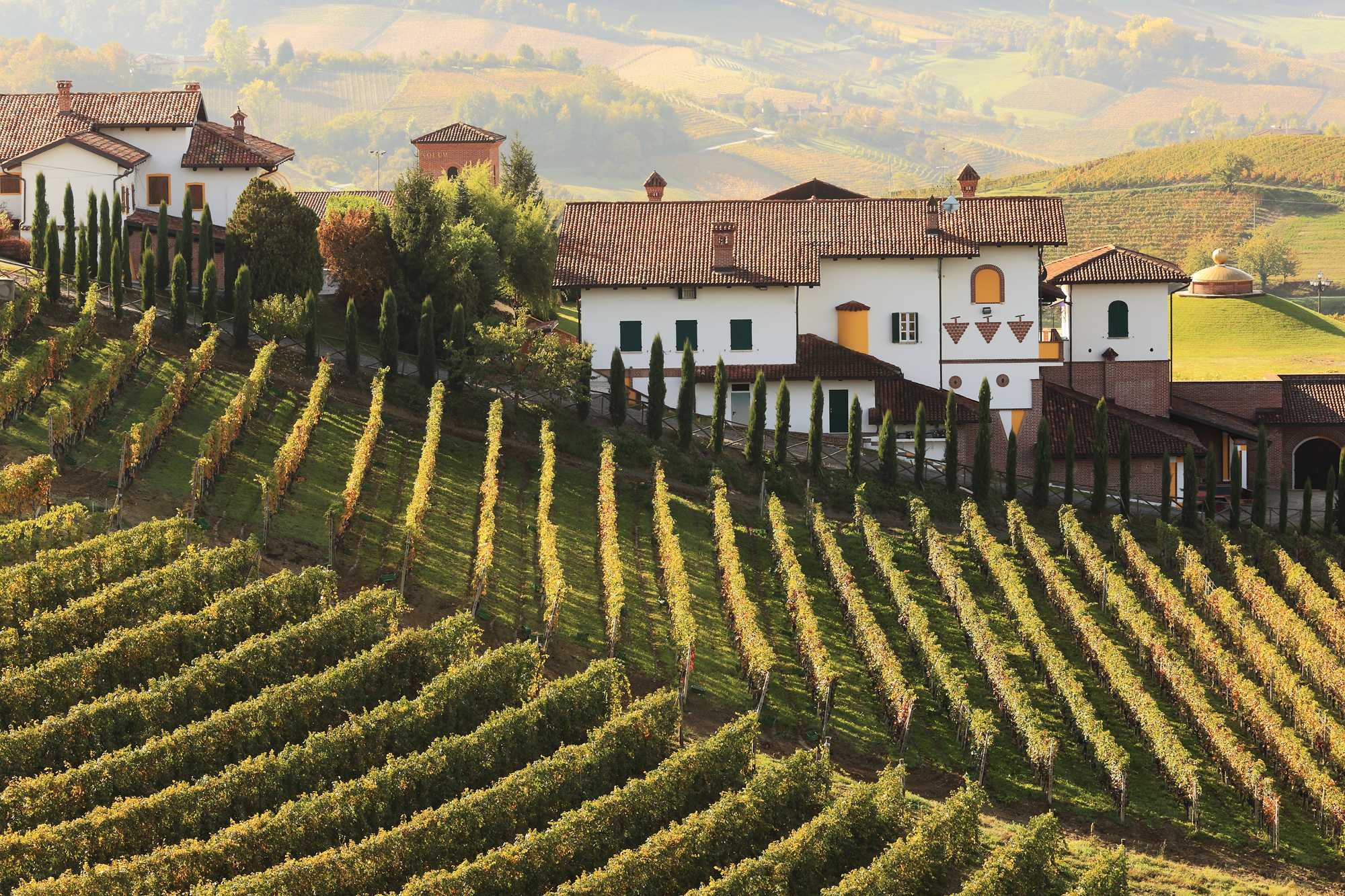 Апулия — жаркие итальянские вина