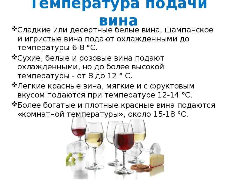 Правила подачи вина