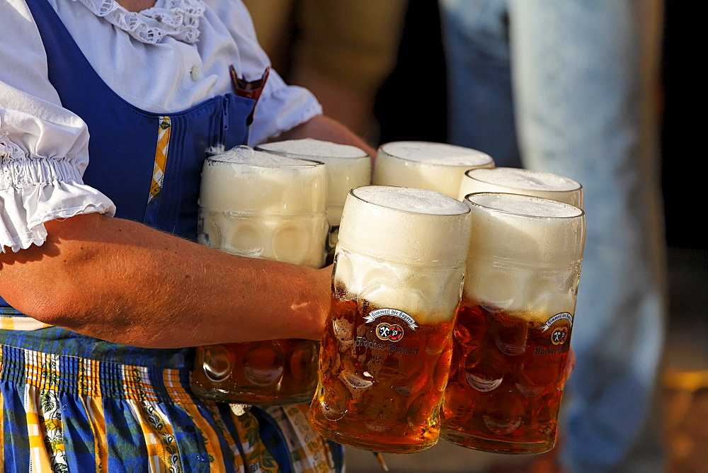 Экскурсия по основным сортам немецкого пива
