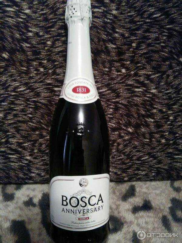 Шампанское боска (bosca): описание, история и вид марки 🍷 на самогонище