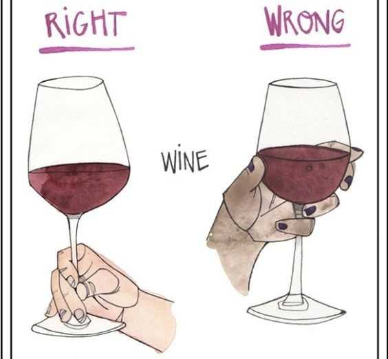 Как правильно держать бокал с вином, шампанским по этикету? - bezprivychek.ru