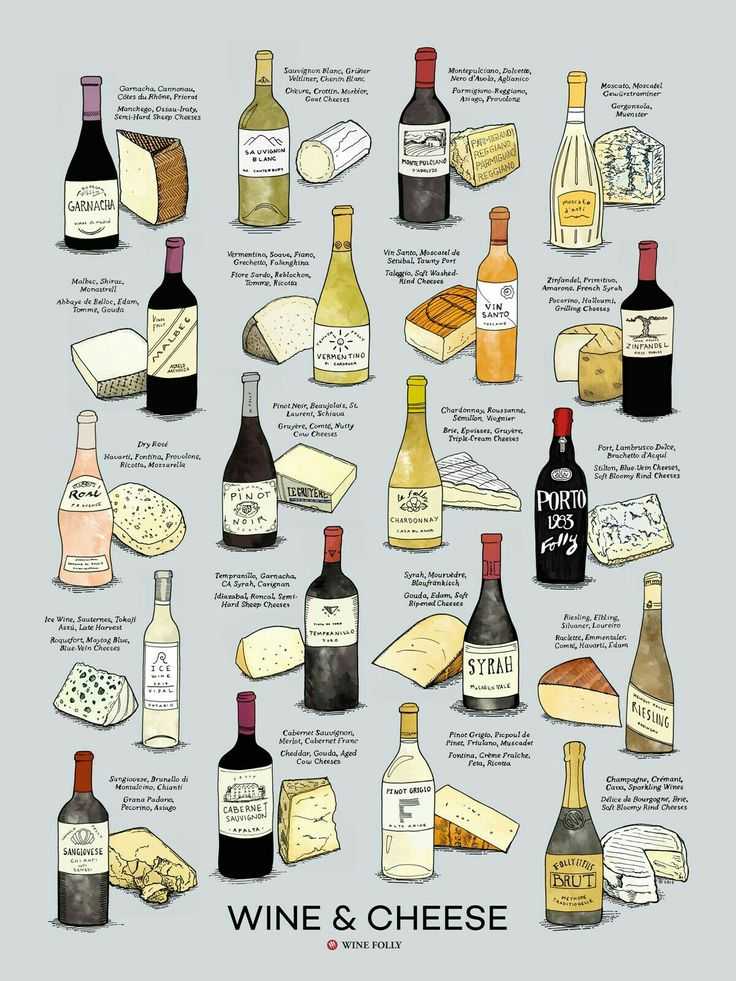 Какое вино подходит к сыру?