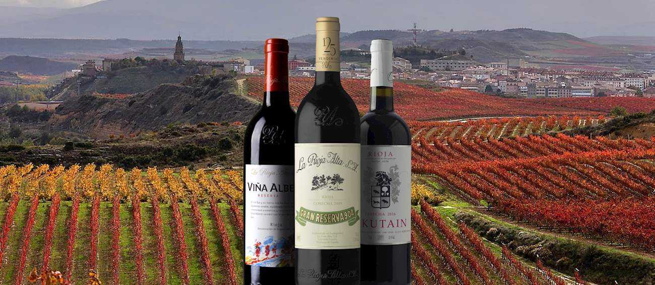 Испанское красное вино rioja (риоха): что это за сорт винограда, полное описание с характеристиками