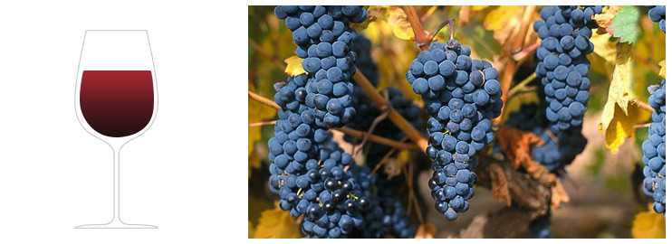 Сорт винограда темпранильо: описание, характеристика и про испанские вина tempranillo
