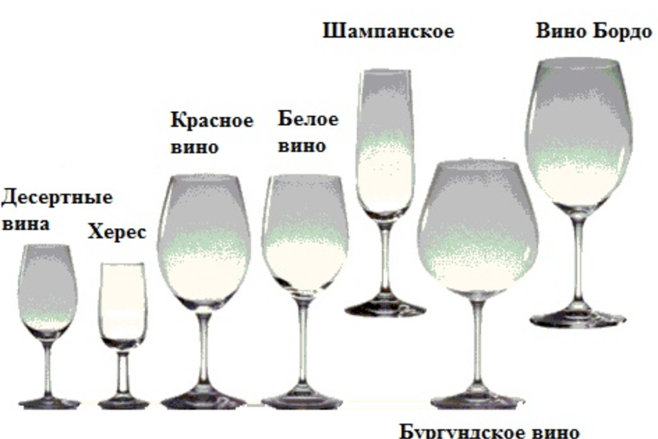 Бокалы для шампанского – история создания, основные формы, цветные фужеры, как выбрать?