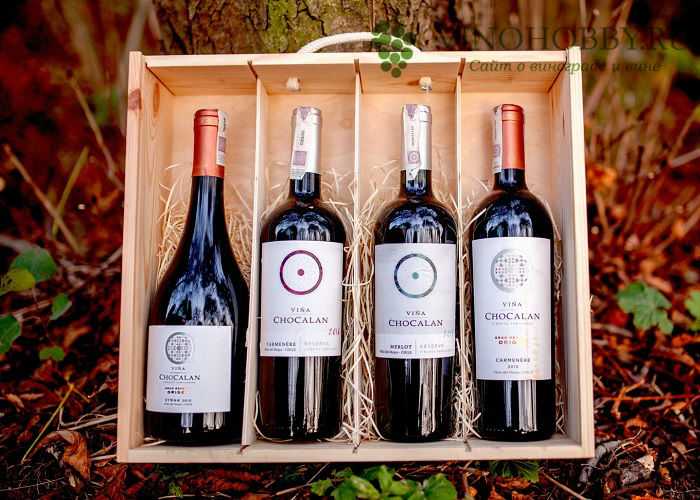 Что из себя представляет чилийское вино