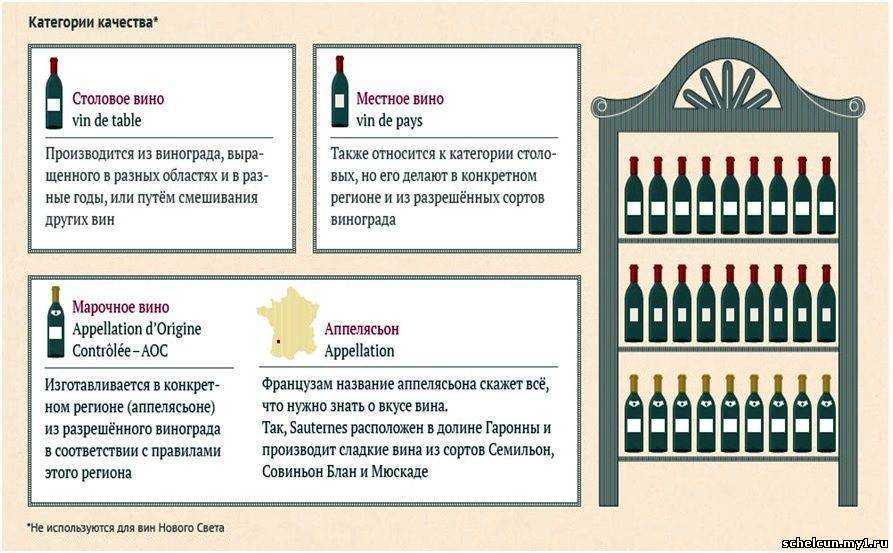 Классификация вин по категориям: какие бывают вина