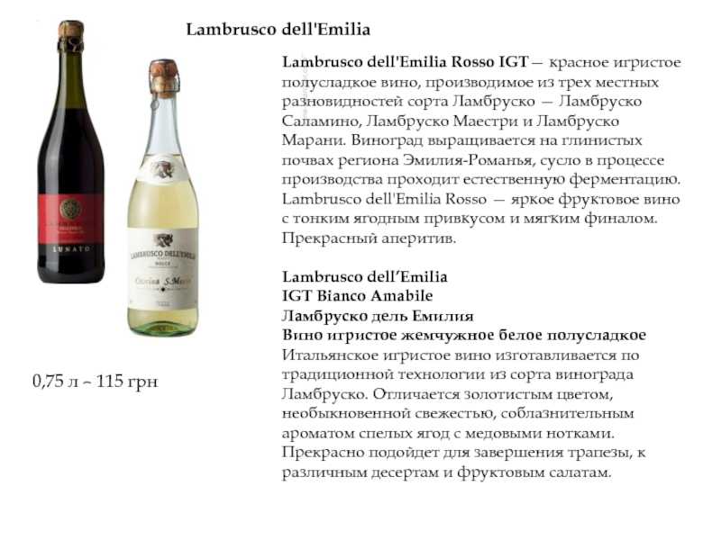 Сорт винограда ламбруско, а также общий отзыв об игристом вине lambrusco | я люблю вино