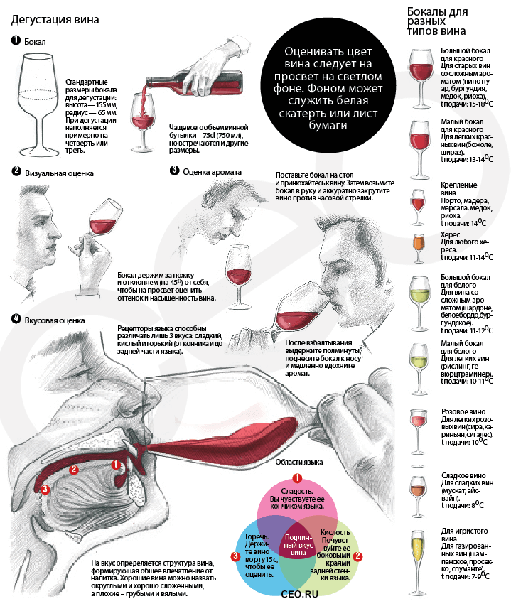 Как дегустировать вино - wikihow