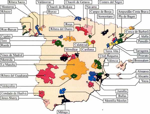 Вина в испании: классификация, сорта, регионы