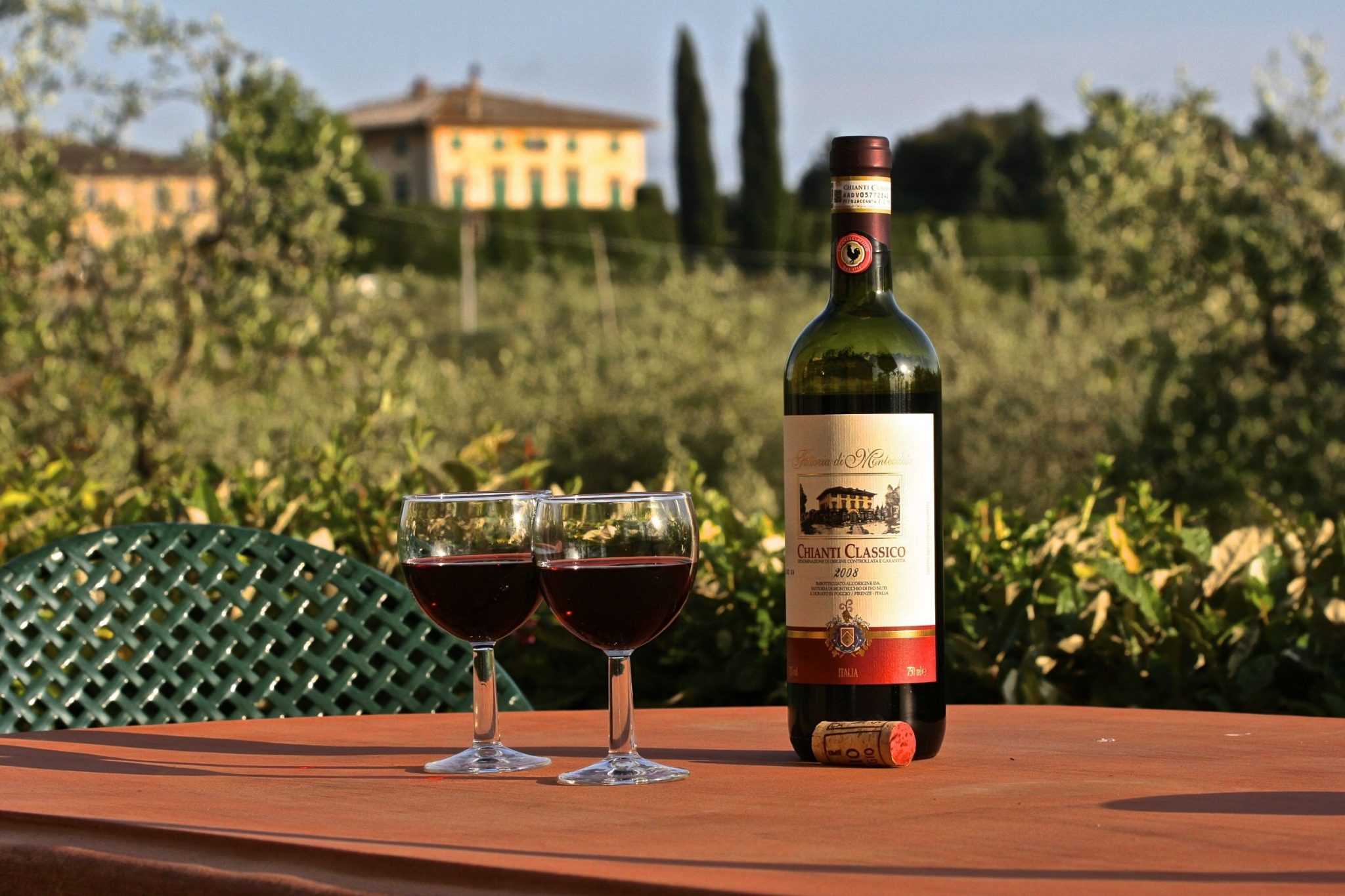 Лучшие тосканские вина — разбираем внимательно