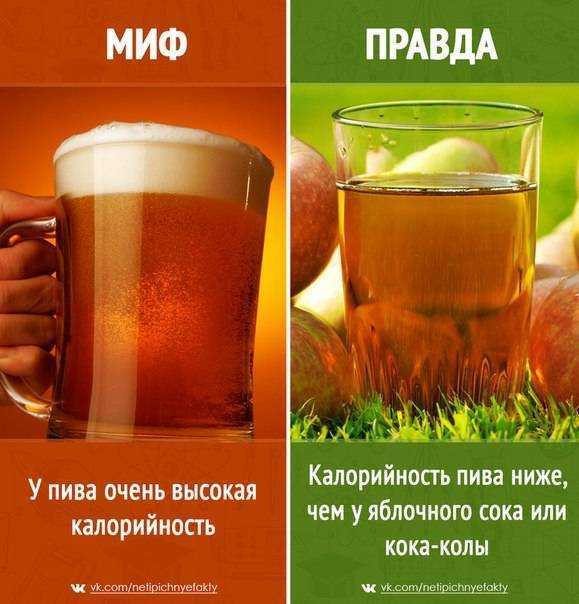 Безалкогольное пиво дома? это просто! // пивоварня.ру