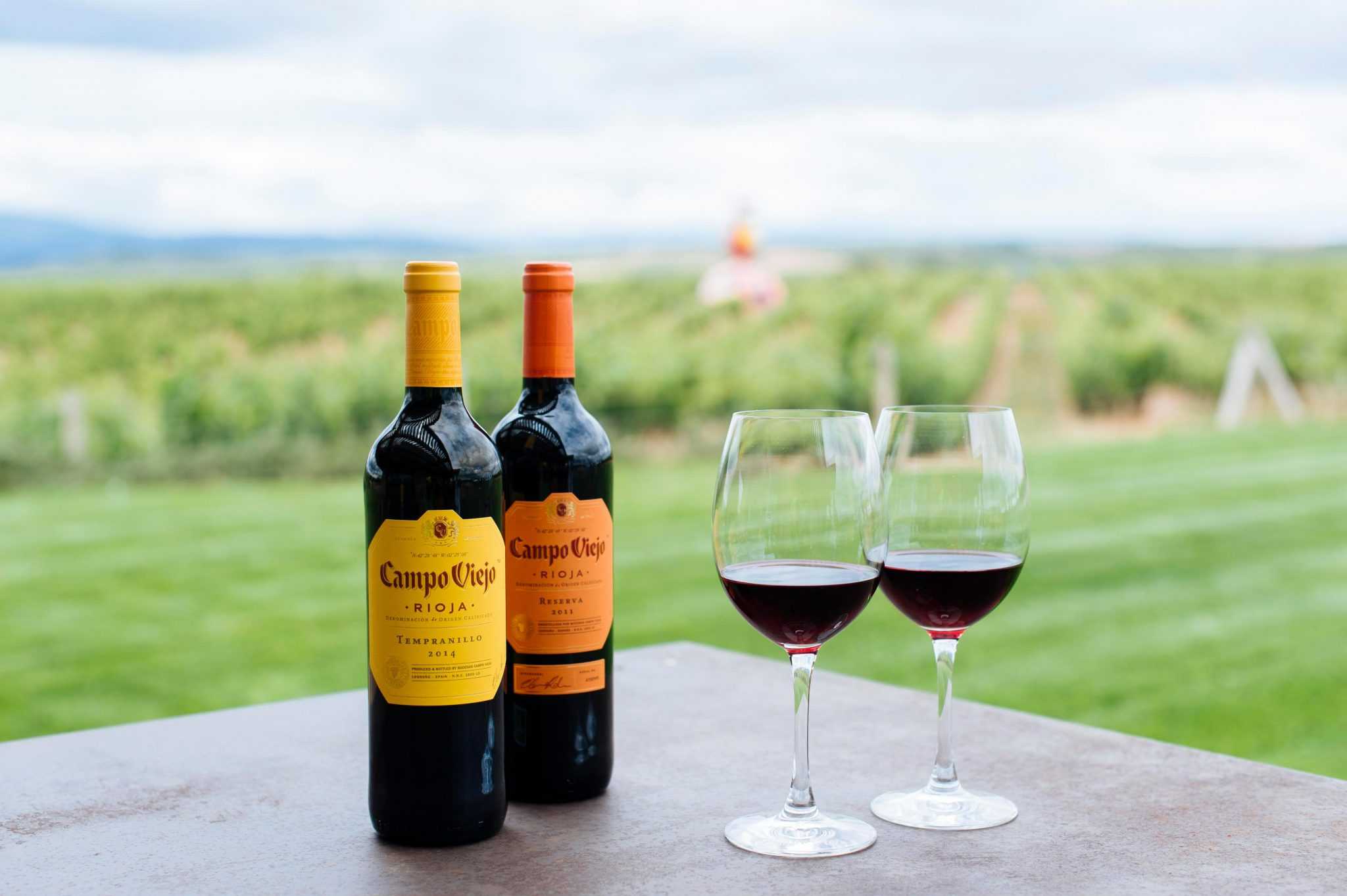 Классификация испанских вин — марки и сорта винограда