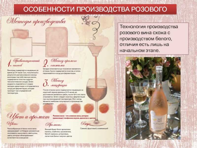 Розовое вино: из чего делают, как пьют, технология подачи