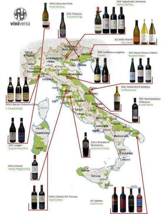 Винодельческие регионы италии: какой используется сорт винограда, классификация вина igt, doc и docg