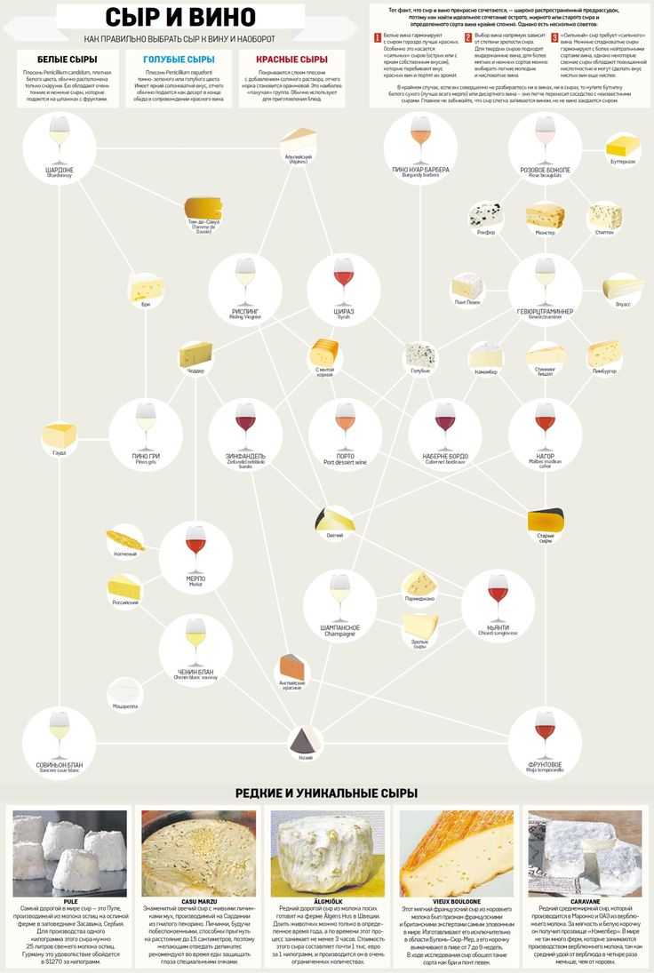 Сырный сомелье: как подобрать вино к сыру | просто о вине | дзен