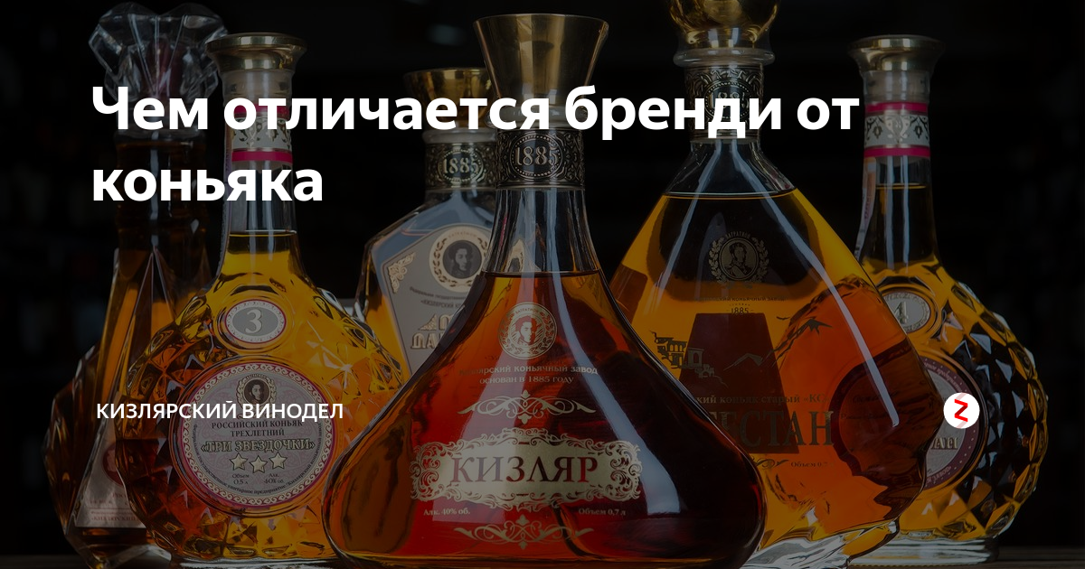 Бренди и коньяк: в чем разница, особенности напитков :: syl.ru