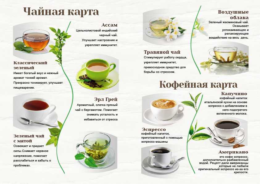 Чай матча — что это такое, польза и вред, отзывы