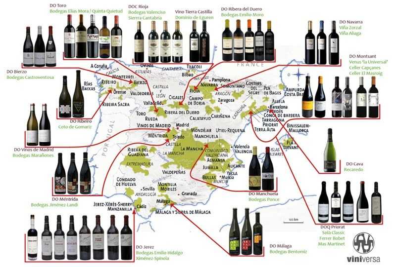 Испанские вина: названия, марки, категории, лучшие сорта и винодельческие районы