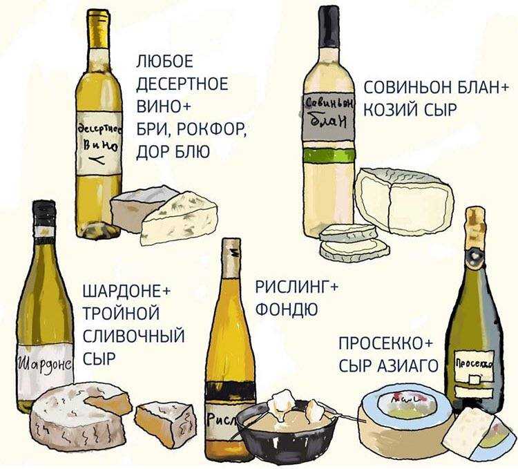 Вино и российские сыры. как определиться с выбором?