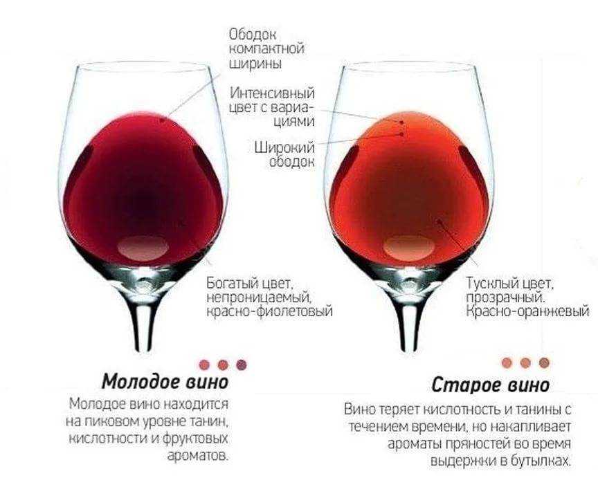 Как правильно дегустировать вино: советы эксперта