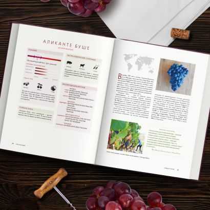 Основы производства тихих красных и белых вин. корректировка вкуса вина и процесс ферментации