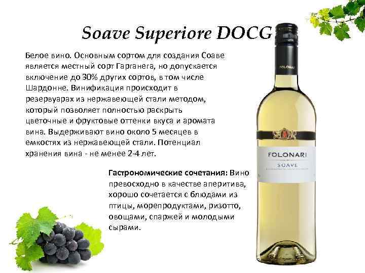 Треббиано (уни блан) вино: сорт винограда, игристое белое сухое, описание, проканико, характеристики, рейтинг