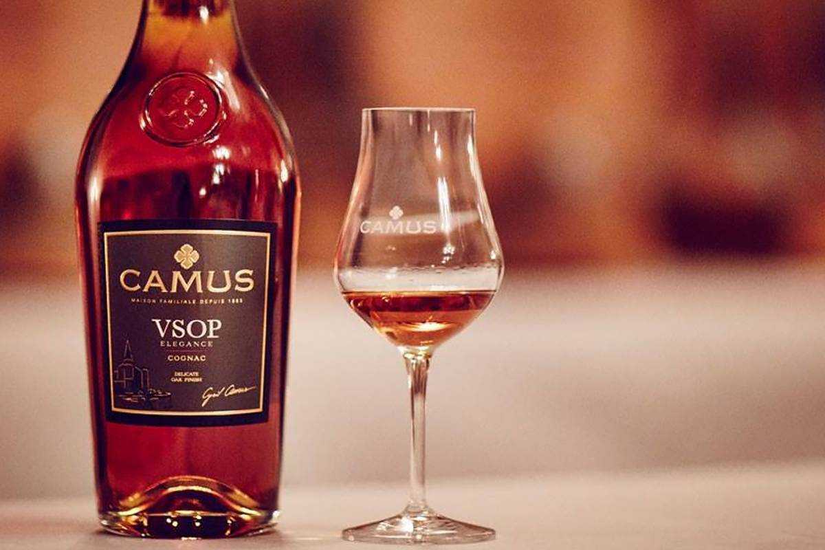 Коньяк "камю" (camus) — история бренда и виды напитка
