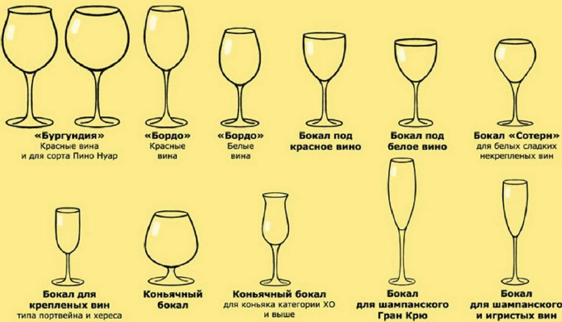 Как правильно сервировать и подавать вино