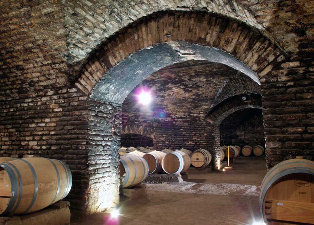 Чили: история виноделия, винодельческие регионы и немного про чилийские вина | я люблю вино