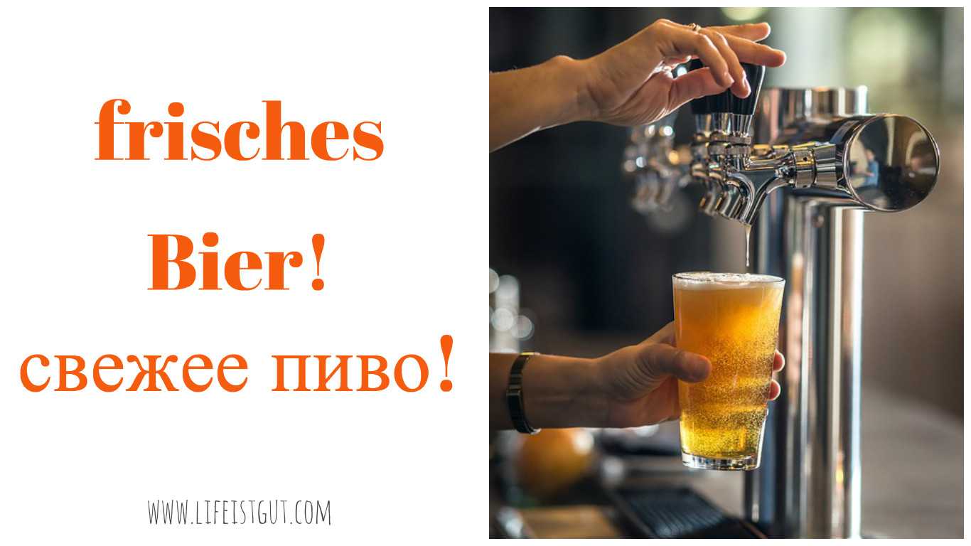 Немецкое пиво: пилснер и хеллес, майбок и доппельбок, хефевайцен и дункельвайцен, берлинер вайссе и гозе