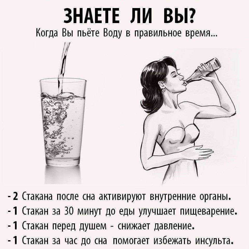 Как правильно пить водку? культура потребления водки :: syl.ru