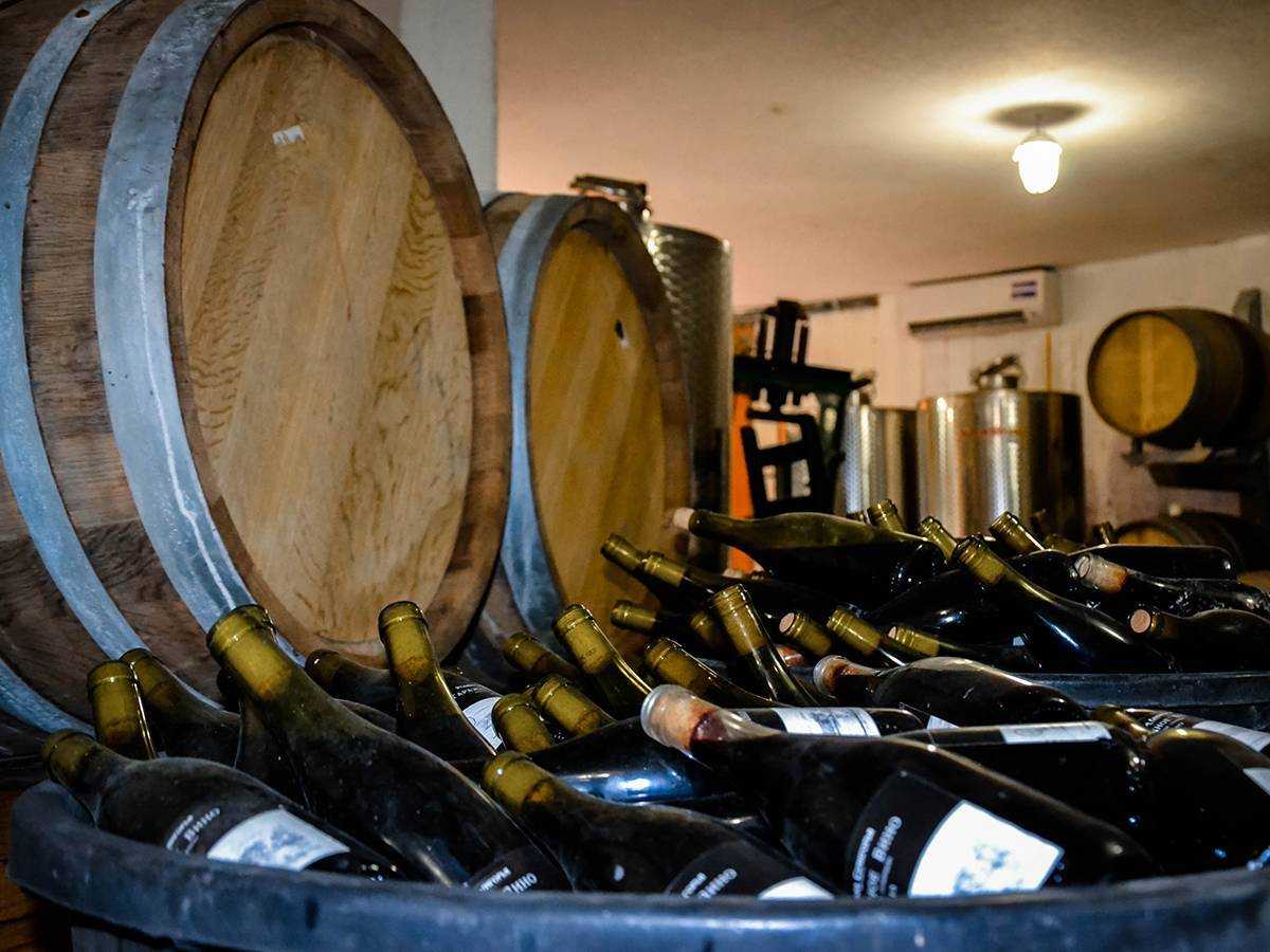 Главное о винах краснодарского края: лучшие винные туры