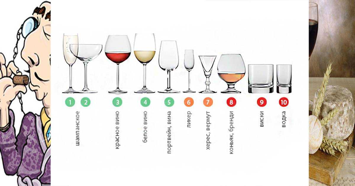 Как правильно держать бокал? учимся держать бокал с вином, шампанским, коньяком