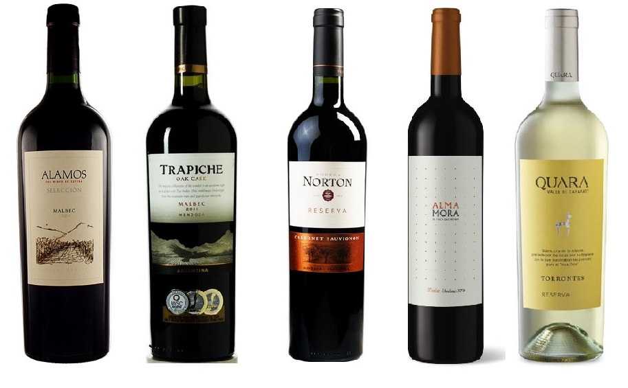Лучшие вина италии — обзор и классификация