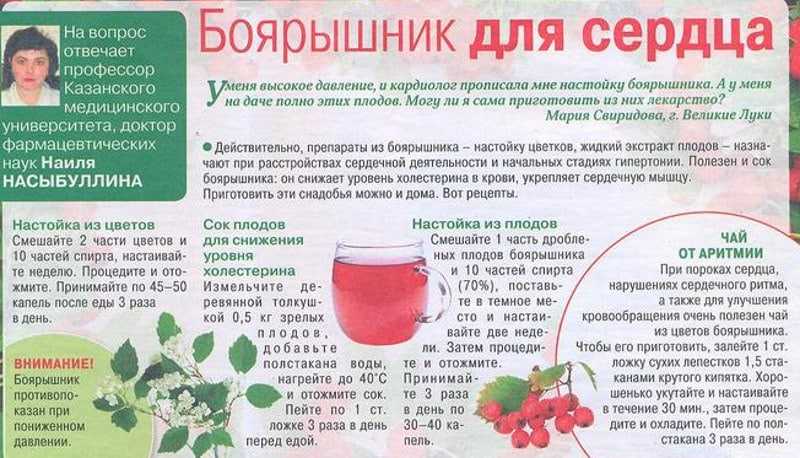 Имбирный эль: свойства напитка и рецепты приготовления