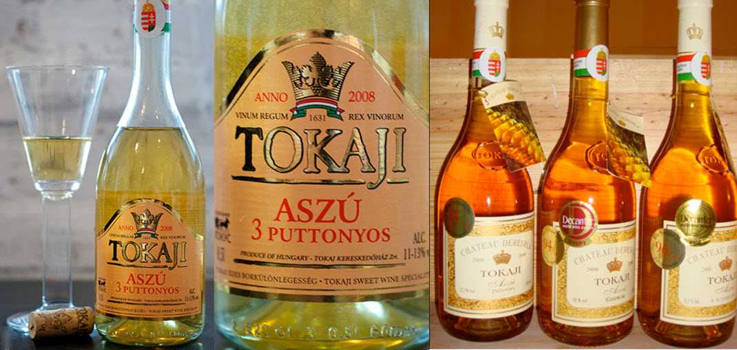 Венгерские вина: как выбрать, названия, бренды, винные экскурсии