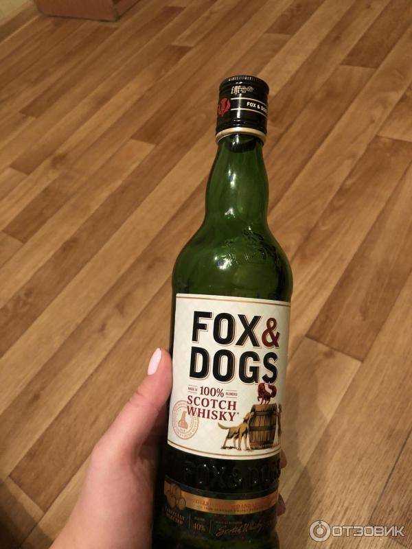 Виски fox and dogs — история алкоголя