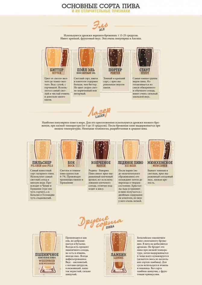 Пиво эль - понятие, виды, отличия от пива, обзор разных сортов, дегустационные характеристики