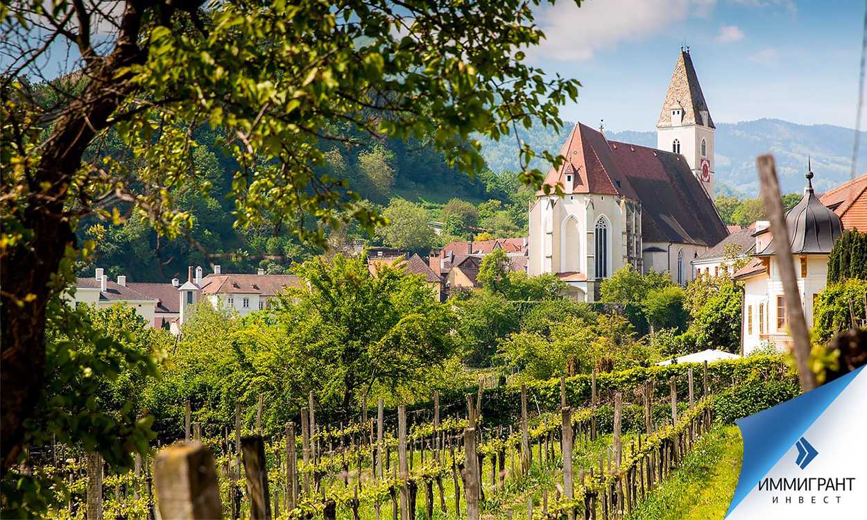 Виноделие австрии: классификация вин, особенности, регионы, сорта, характеристики