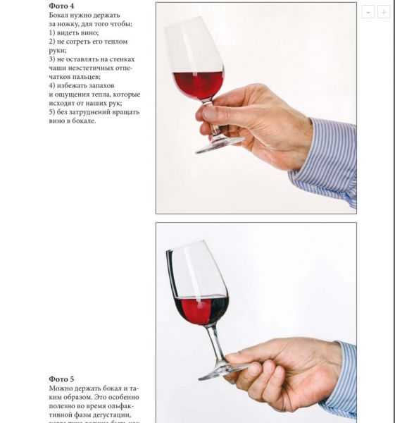 Как правильно держать винный бокал | iloveremont.ru