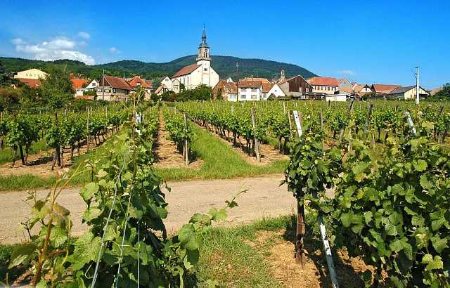 Шампань: провинция виноделия и винодельческий регион франции
