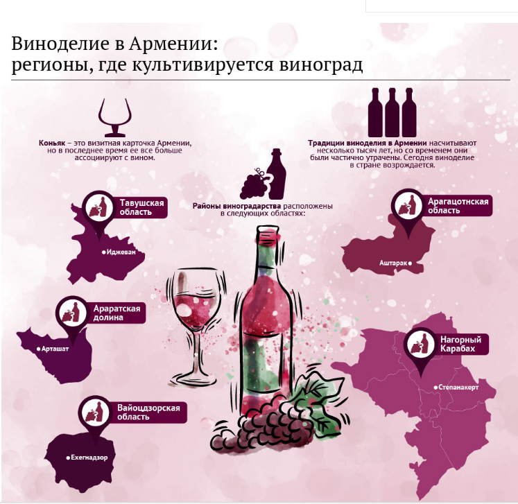Российское вино: объем рынка в россии, перспективы развития