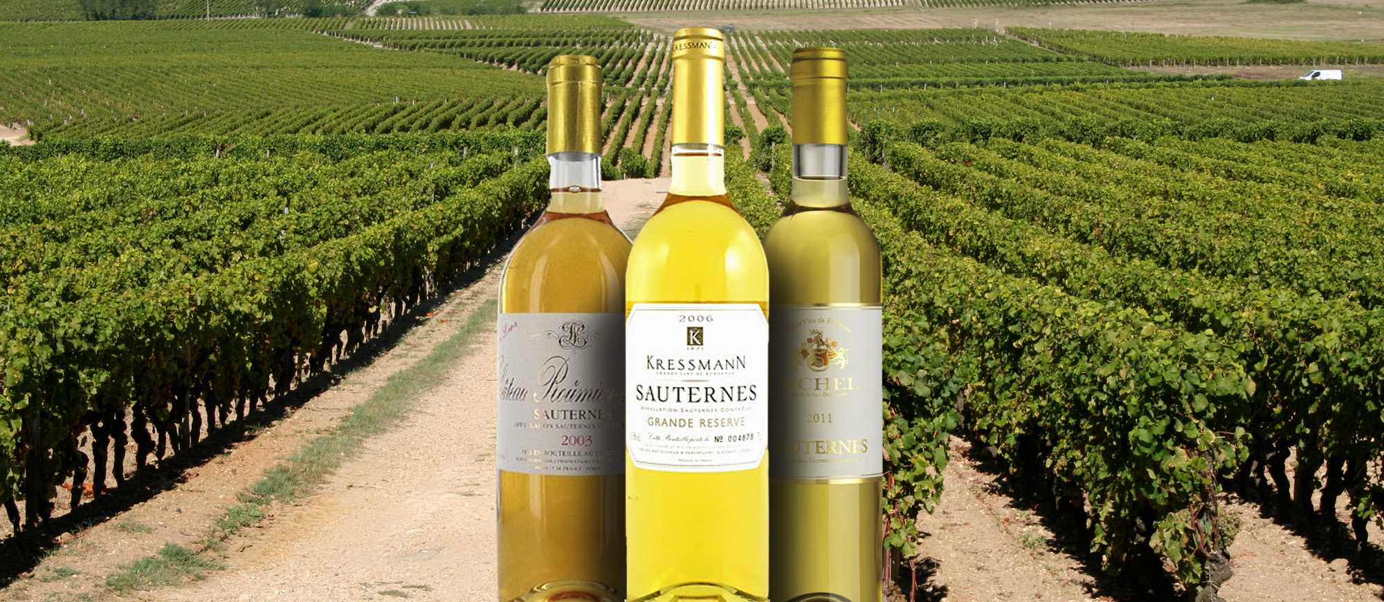 Белое сладкое вино сотерн (sauternes) из франции: как делают, с чем пить и подавать