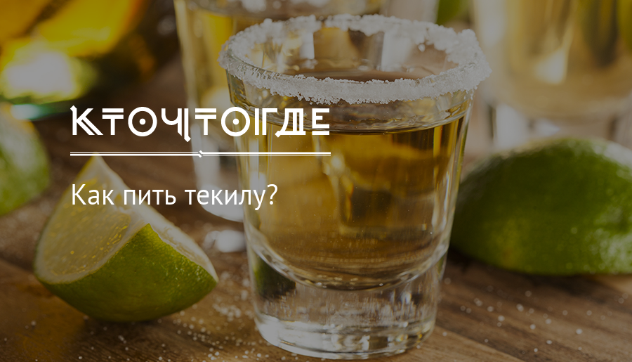Из чего делают текилу, виды мексиканского напитка, производство