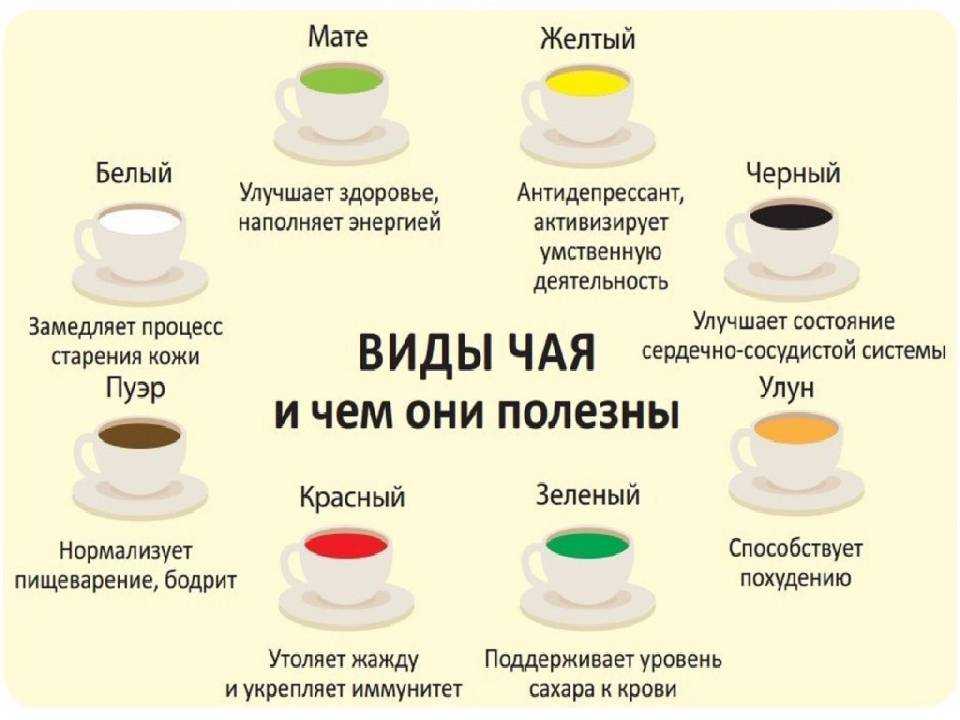 Чай матча: польза и вред зеленого японского напитка, обзор отзывов о свойствах, как заваривать порошок дома, какой на вкус, как правильно пить, противопоказания